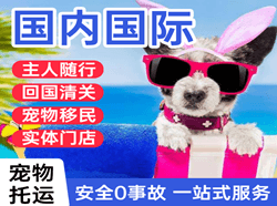 阿荣国际宠物托运 【国